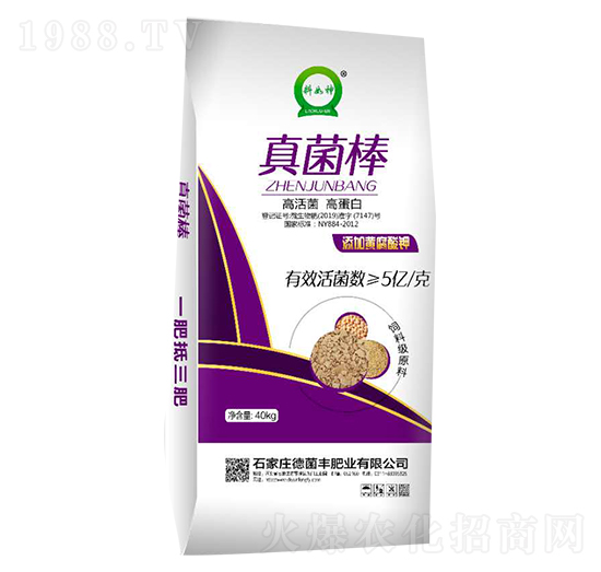 �����-�¾��S�ʘI(y��)