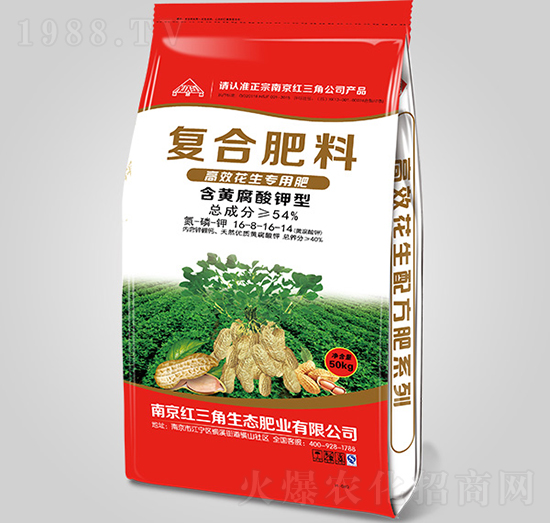 ���S������͏ͺϷ���16-8-16-14-�t����