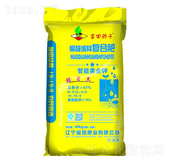 ��ȩ��ጏͺϷ�19-19-9-����ʘI(y��)