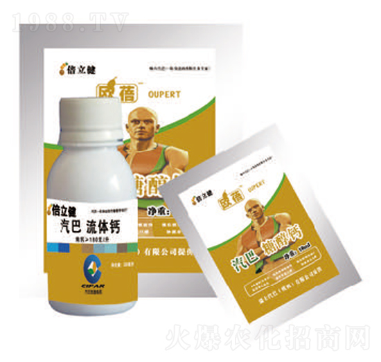 ���w�}-������-�����r(n��ng)�I(y��)