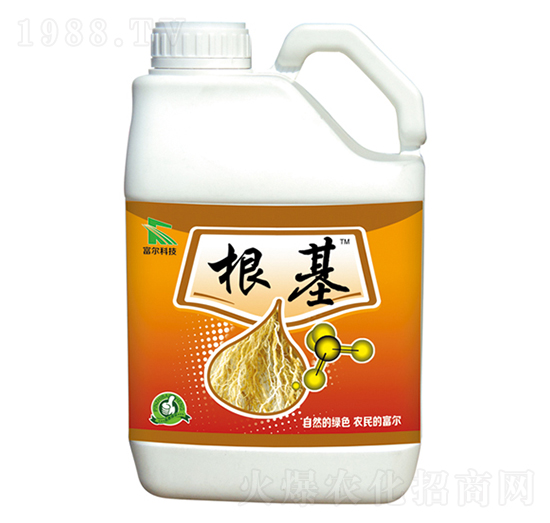 ����-�����Ƽ�