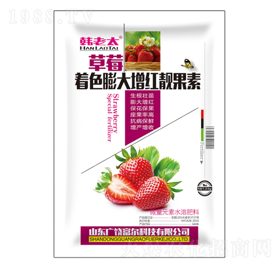 ��ݮ��ɫ������t�n����-�n��̫-�����Ƽ�