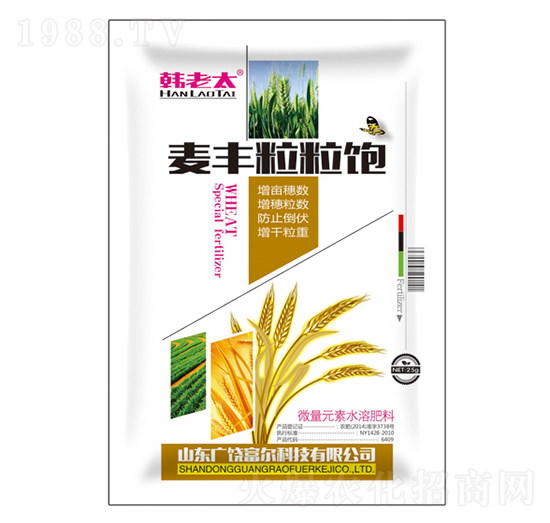 ���S�����-�n��̫-�����Ƽ�