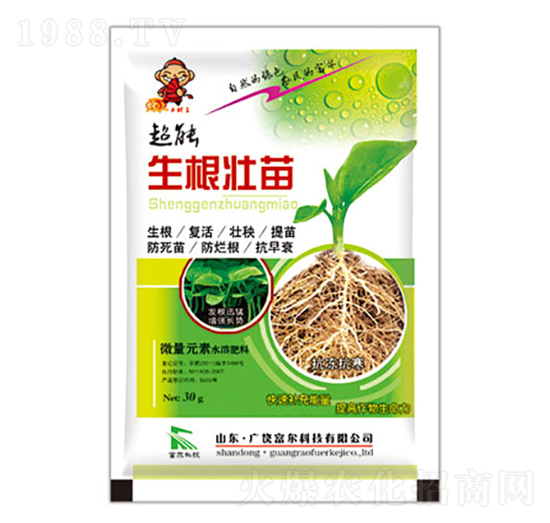 �������������-�����Ƽ�