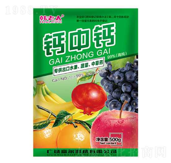 �}���}-�n��̫-�����Ƽ�