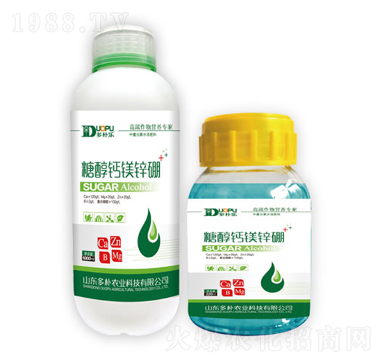 �Ǵ��}�V�\��-�����Ƽ�