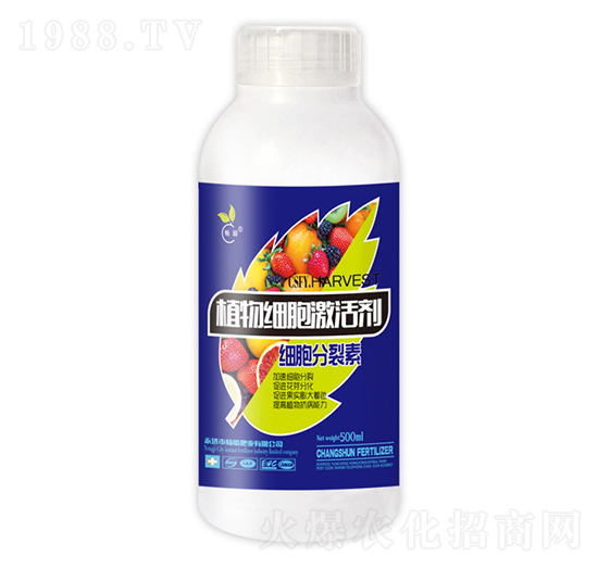 ֲ�：�����-��˲