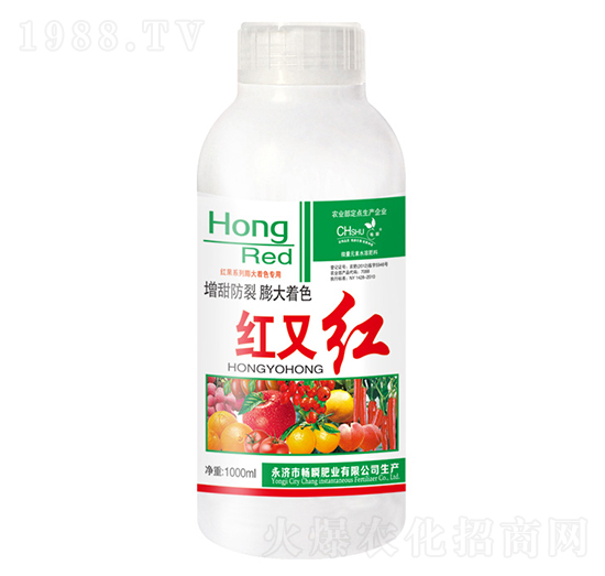 �����ɫ�~���-�t�ּt-��˲