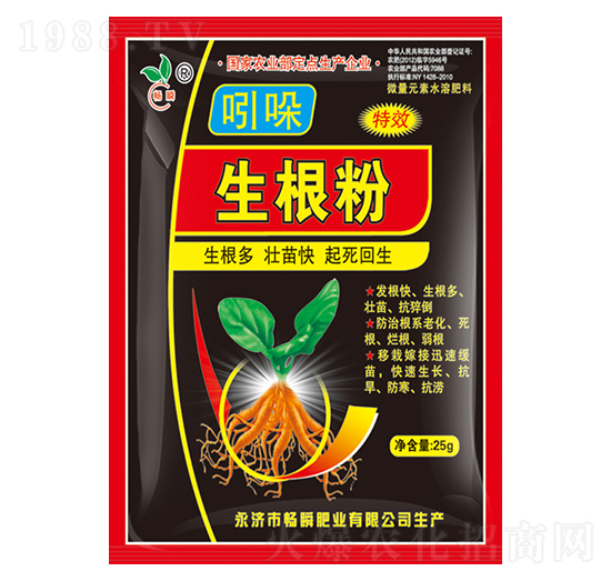 ����������-��˲