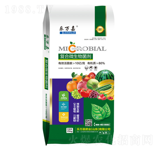 �ͺ�΢�������-���f��