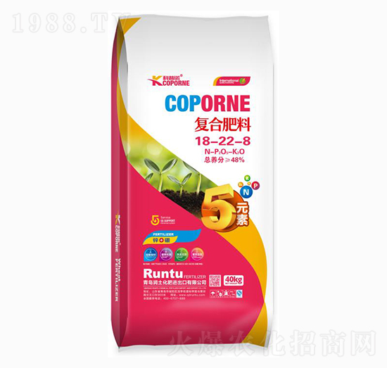 �ͺϷ���18-22-8-�����Z-����