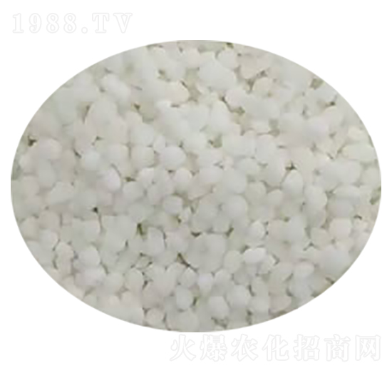 �����@�w��-���M̩-��ɭ�ʘI(y��)