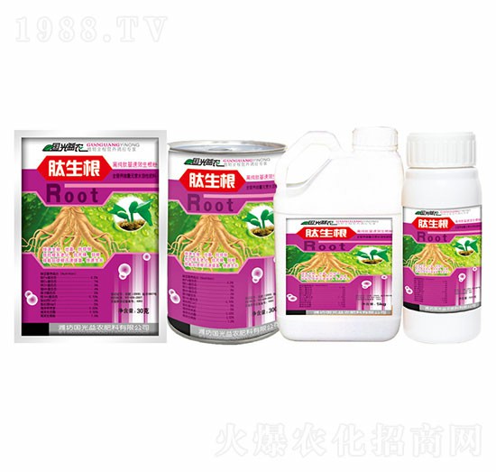 30��������-��(gu��)�����r(n��ng)