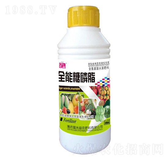 ����֬-�������r