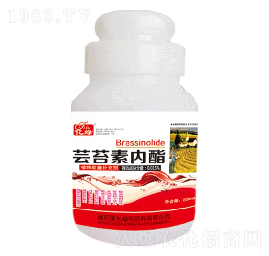 200ml�|̦�؃���-�������r