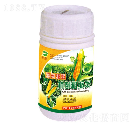 ���׿����ֿs�`-�������r(n��ng)