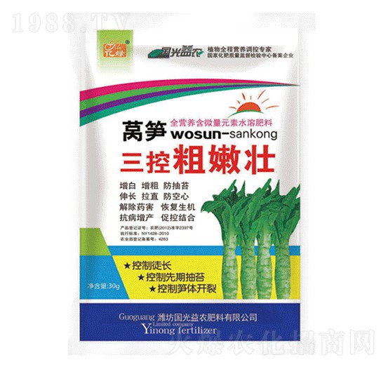 �n�S���ش��ۉ�-�������r