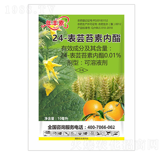 24-���|̦�؃�(n��i)��-���S��-�滯���h