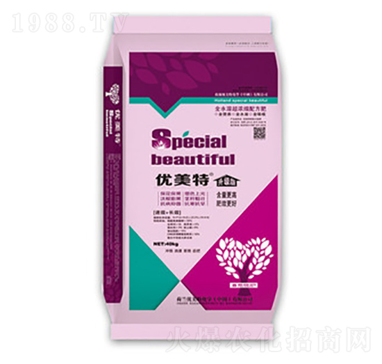 ����(j��)�����L�l(f��)����-��(y��u)����-����r(n��ng)�I(y��)