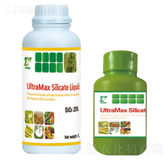 �n���茚-���A��