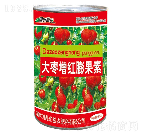 �����t�����-��(gu��)�����r(n��ng)