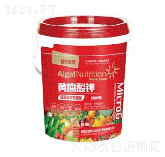 �S�����-���_