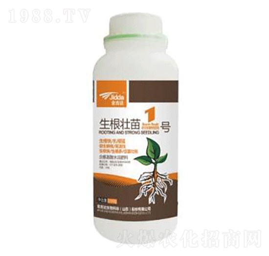 ��������1̖(h��o)-���_(d��)