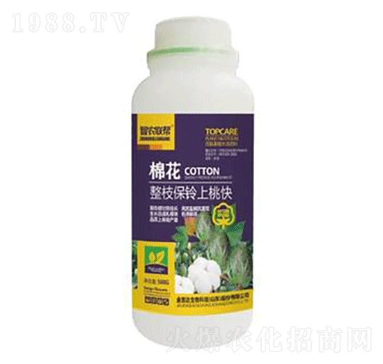 �޻���֦������ҿ�-���_(d��)