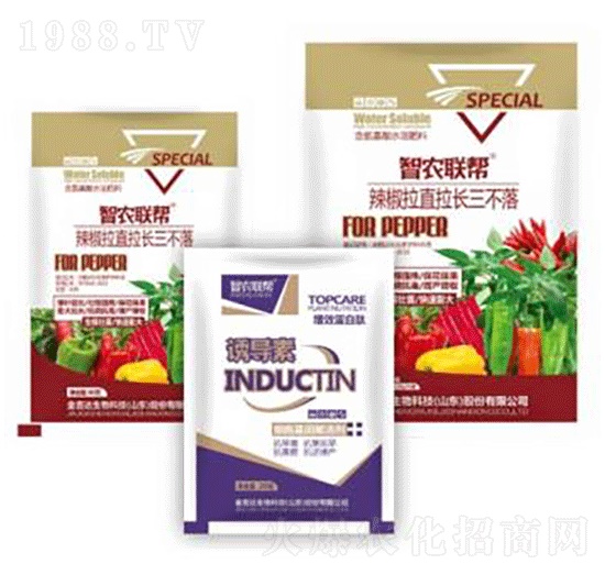 ������ֱ���L������-���_(d��)