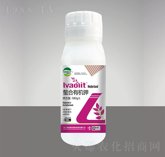 �����ЙC�-�G�W�r(n��ng)�I(y��)