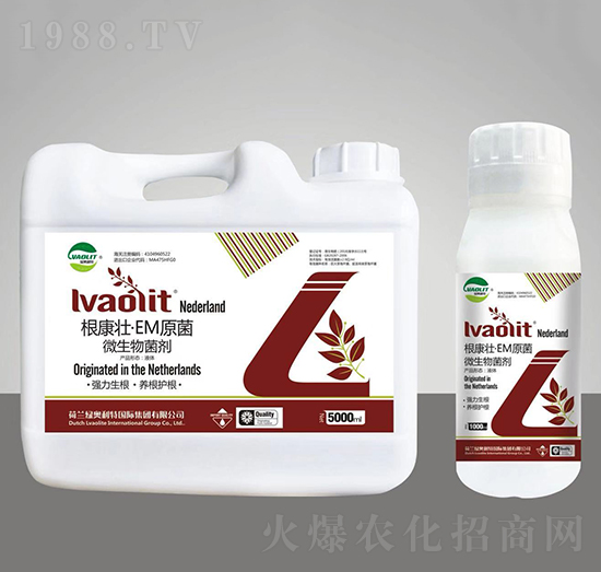 ������EMԭҺ-�G�W�r�I(y��)