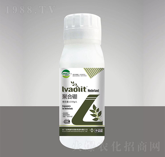 �ۺ���-�G�W�r�I(y��)