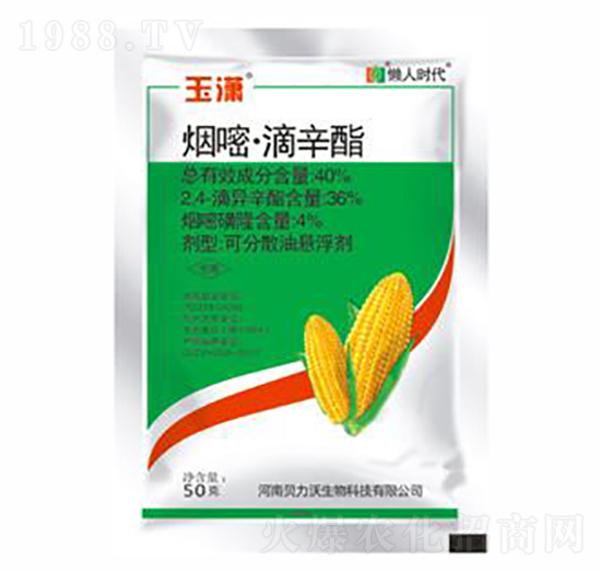 40%���ס�������-��t-ؐ����