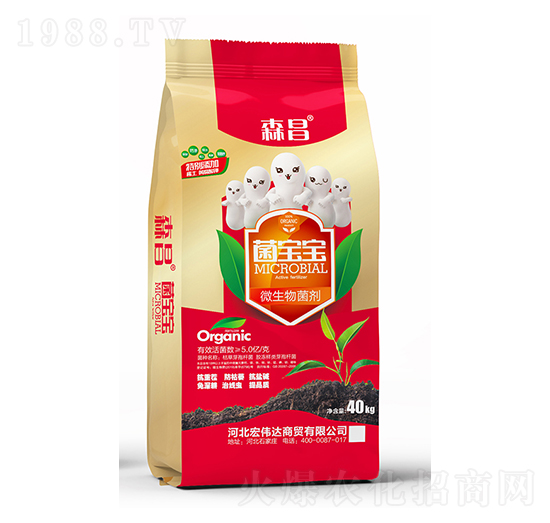 5�|΢�������-������-ɭ��-�ꂥ�_