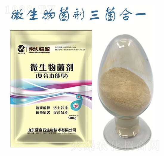 ΢�������-�����-�{��ʯ