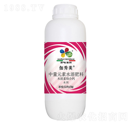 ľ�|(zh��)�ؽj(lu��)���}-������-��T����