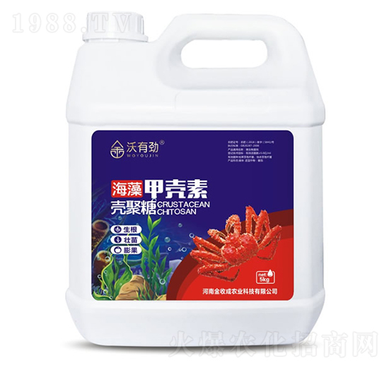 5kg����ך���-���Є�-���ճ�