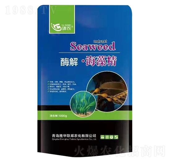 ø�⺣�徫-�Z(y��)�r(n��ng)-���A(li��n)��