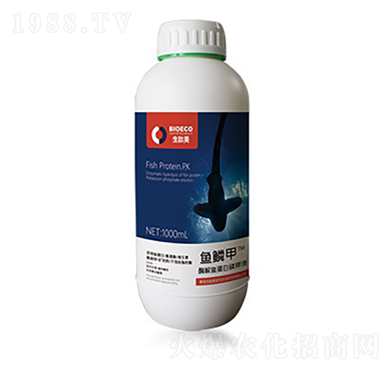 �~(y��)ӯ�T-�~(y��)�[��-������