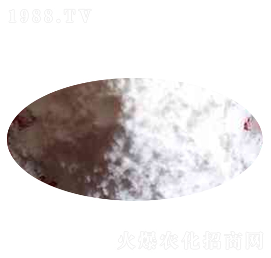 ʮ�����c-��֮���r(n��ng)�I(y��)