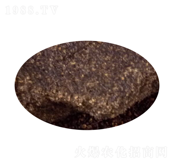 ���������D-���ؠ�