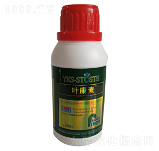 250ml�������~���-�~����-�ն���