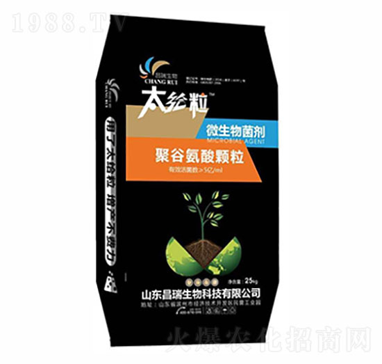 �۹Ȱ������-ɽ�|����