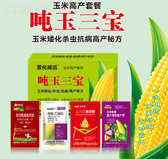 ���׸߮a(ch��n)�ײ�-��������-�滯���h(yu��n)