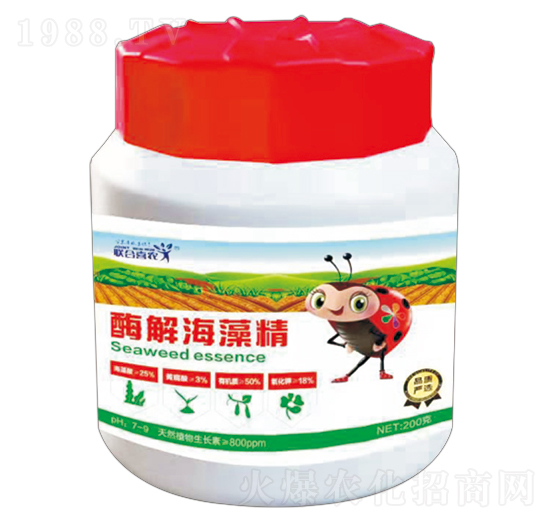 ø�⺣�徫-��ϲ�r