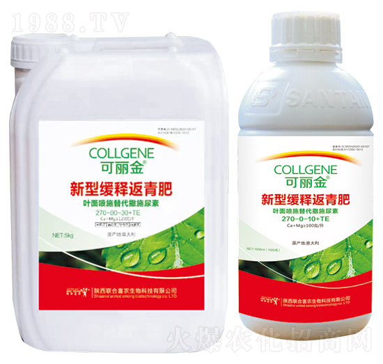 ���;�ጷ����-������-(li��n)��ϲ�r(n��ng)