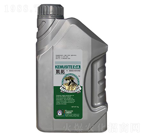 ����ˮ�����Ì����~���-�P��-��ķ˹��