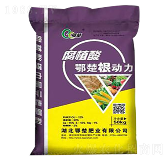 ��ֲ�����(d��ng)��-����-����ɽ