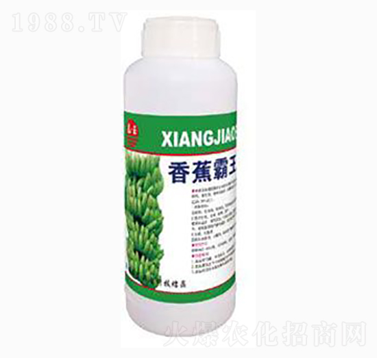 �㽶����-̩��ʘI(y��)