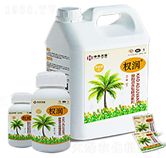 �r(n��ng)�Ç��F����-��(qu��n)��-�к����